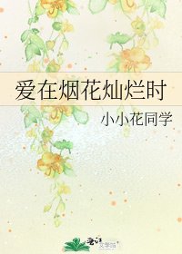 《爱在烟花灿烂时》